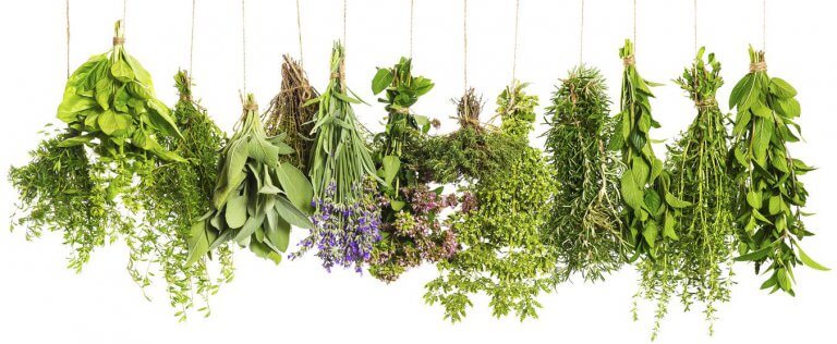 ekstrakty naturalne naturday