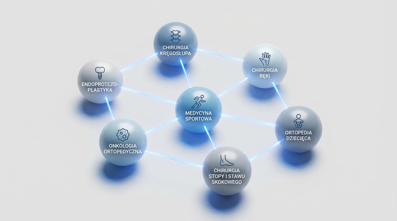 zakres-specjalizacji-ortopedycznych-3d.png